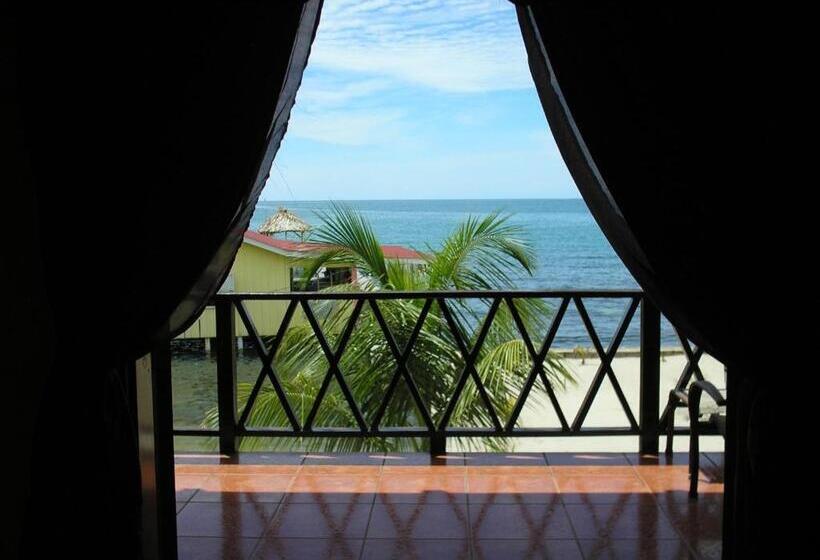 海の見えるスタンダードスタジオ, Alan S Paradise