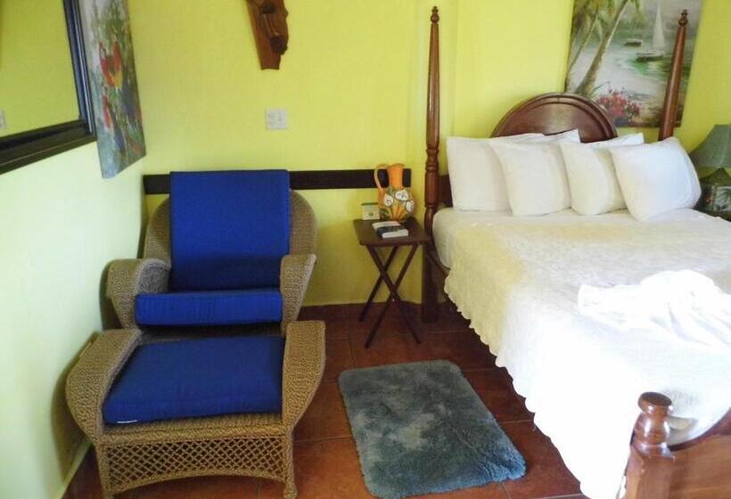 海の見えるスタンダードスタジオ, Alan S Paradise