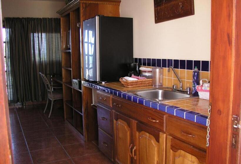 海の見えるスタンダードスタジオ, Alan S Paradise