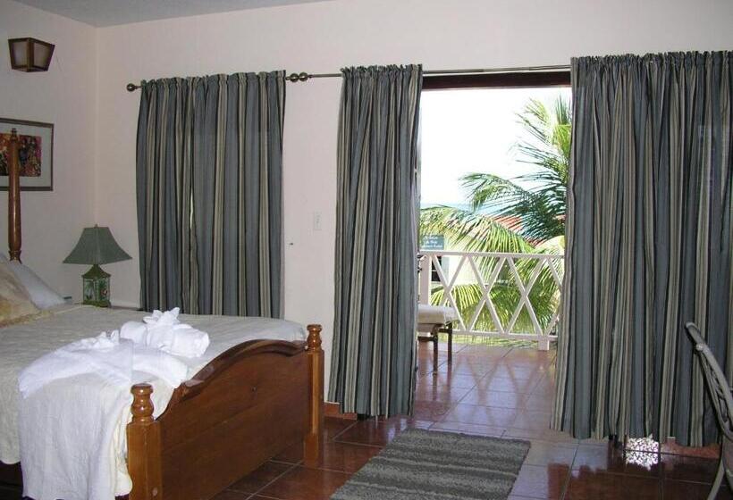 海の見えるスタンダードスタジオ, Alan S Paradise