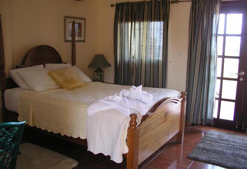 海の見えるスタンダードスタジオ, Alan S Paradise