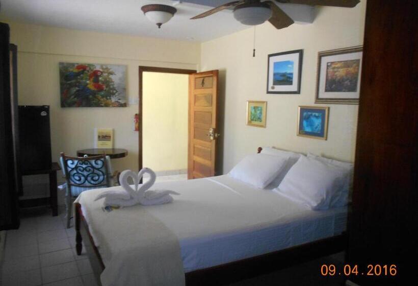 ベーシックルーム, Alan S Paradise