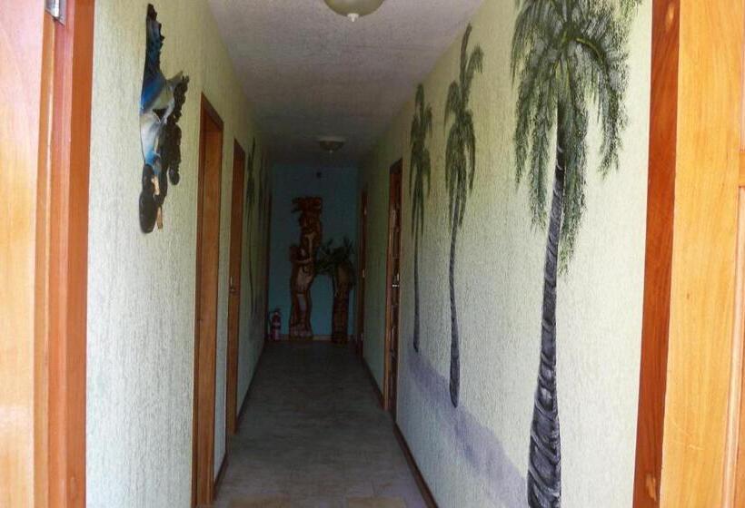 ベーシックルーム, Alan S Paradise