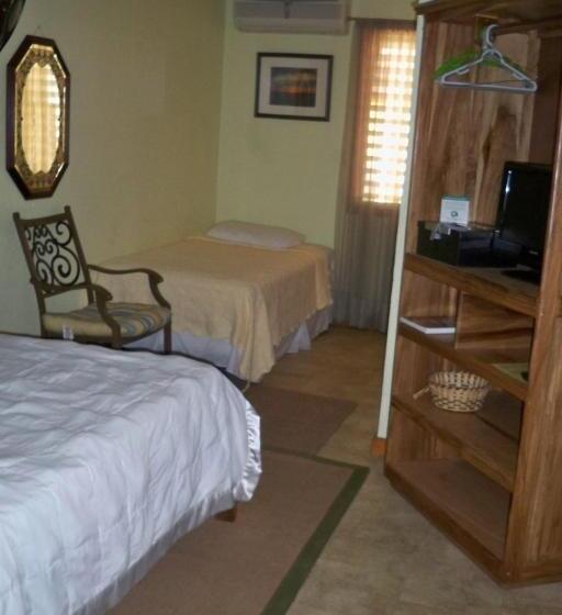 ベーシックルーム, Alan S Paradise