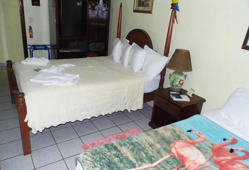 ベーシックトリプルルーム, Alan S Paradise