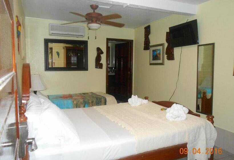 ベーシックトリプルルーム, Alan S Paradise