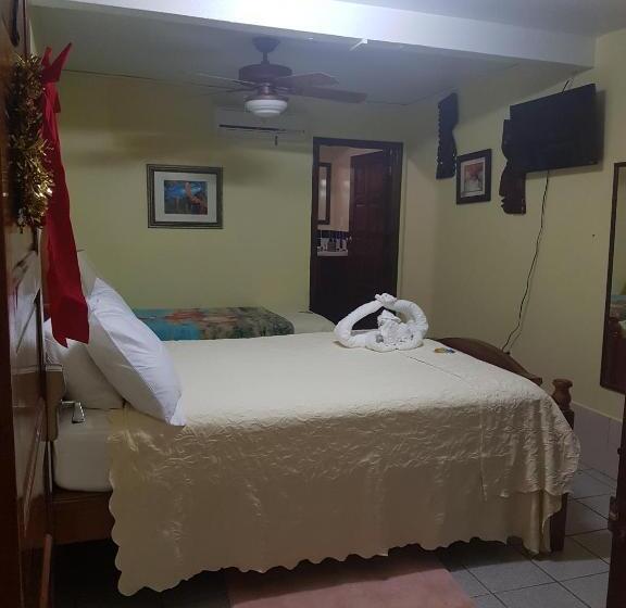 ベーシックトリプルルーム, Alan S Paradise