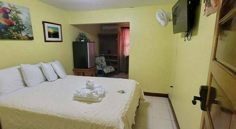 ベーシックルーム, Alan S Paradise