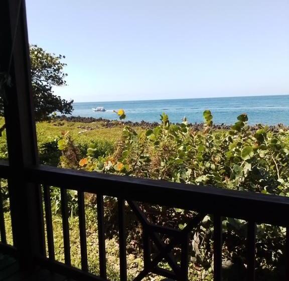 استودیوی استاندارد با چشمانداز دریا, Cocolobo Resort