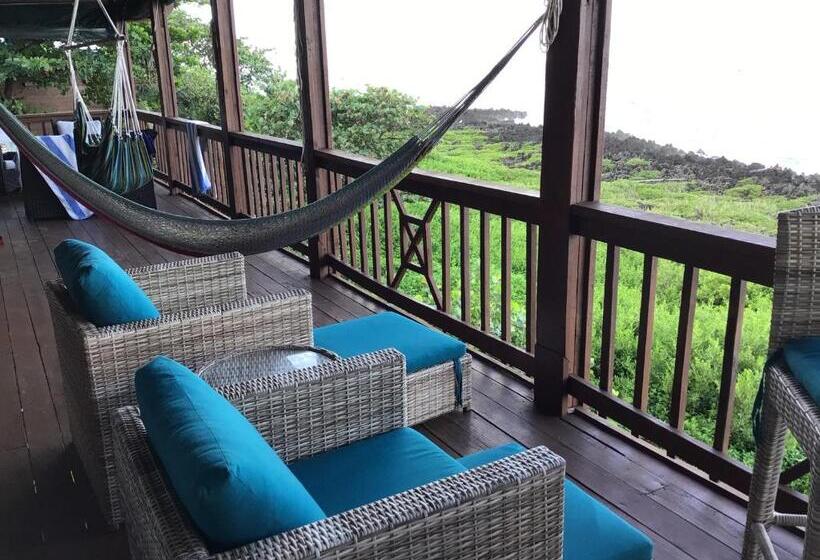 استودیوی استاندارد با چشمانداز دریا, Cocolobo Resort