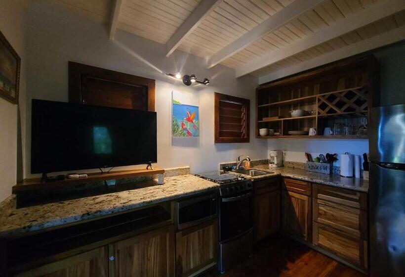 ویلای استاندارد با چشمانداز باغ, Cocolobo Resort