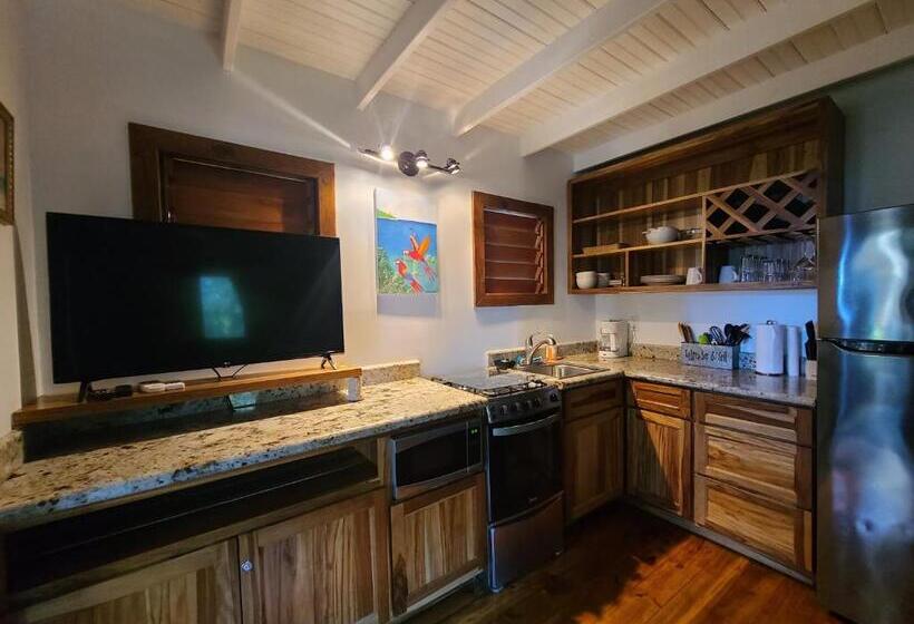 ویلای استاندارد با چشمانداز باغ, Cocolobo Resort