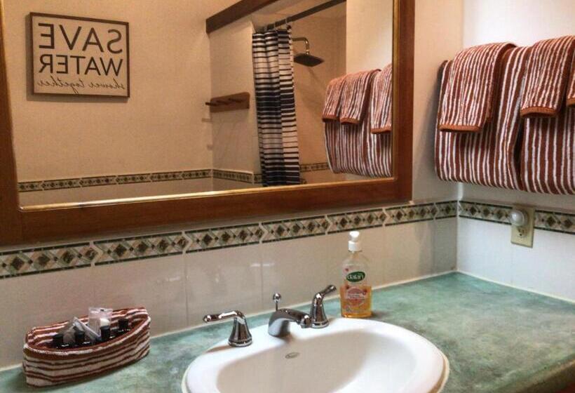 استودیوی استاندارد با چشمانداز دریا, Cocolobo Resort