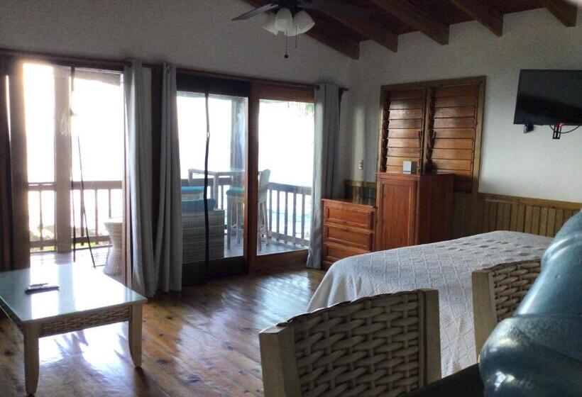 استودیوی استاندارد با چشمانداز دریا, Cocolobo Resort