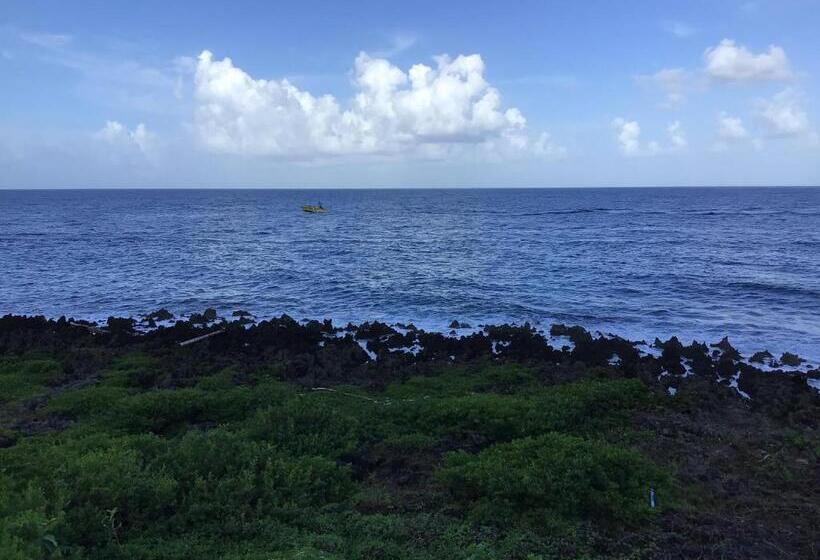 استودیوی استاندارد با چشمانداز دریا, Cocolobo Resort