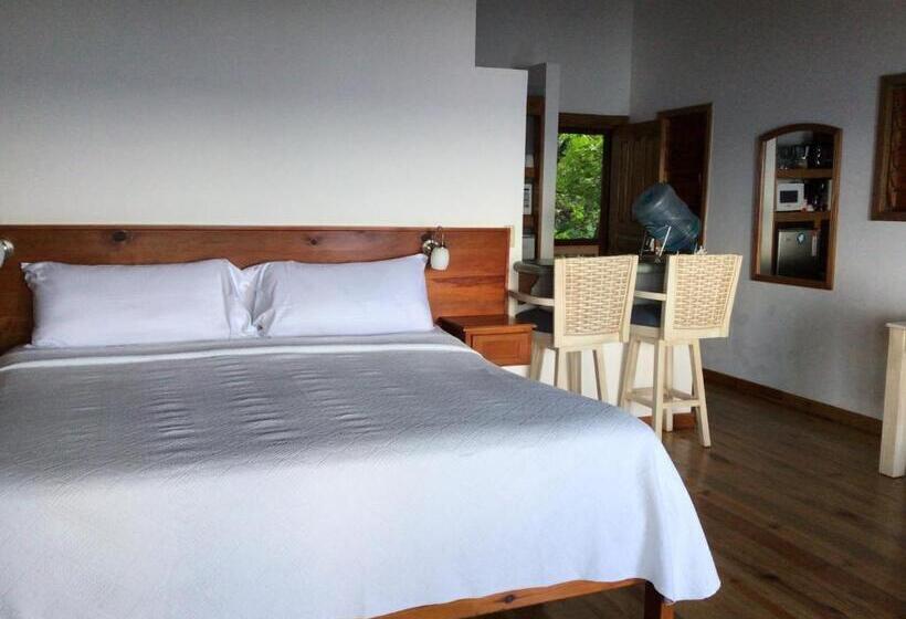 استودیوی استاندارد با چشمانداز دریا, Cocolobo Resort