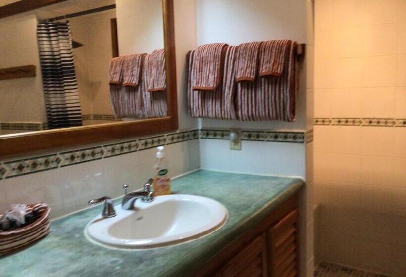 استودیوی استاندارد با چشمانداز دریا, Cocolobo Resort