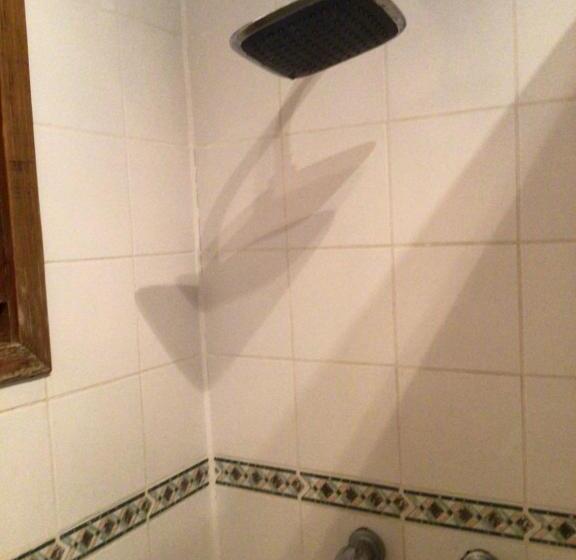 استودیوی استاندارد با چشمانداز دریا, Cocolobo Resort