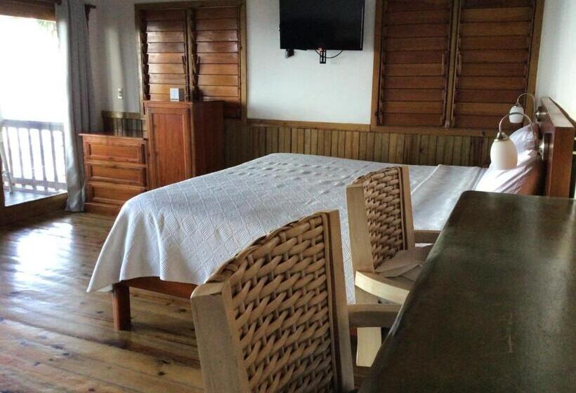 استودیوی استاندارد با چشمانداز دریا, Cocolobo Resort