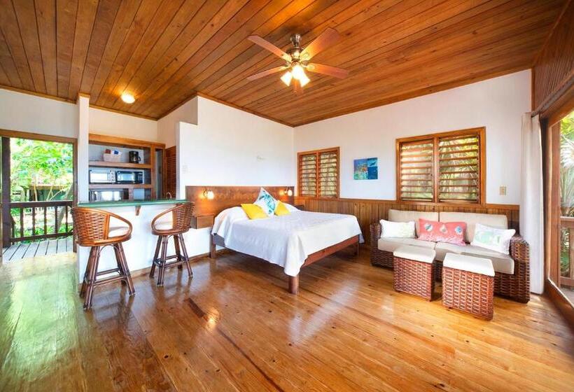 استودیوی استاندارد با چشمانداز دریا, Cocolobo Resort