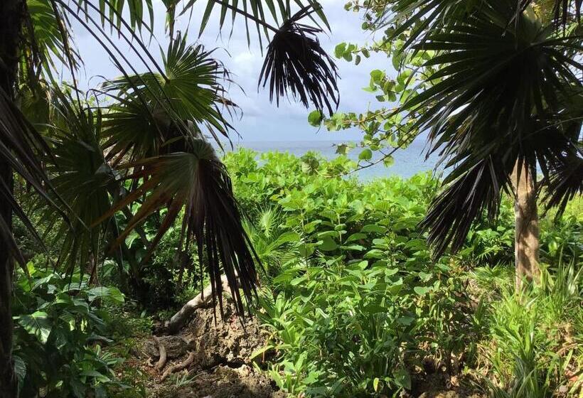 استودیوی استاندارد با چشمانداز دریا, Cocolobo Resort