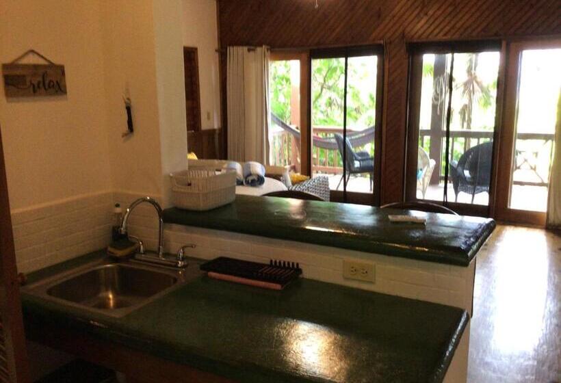 استودیوی استاندارد با چشمانداز دریا, Cocolobo Resort