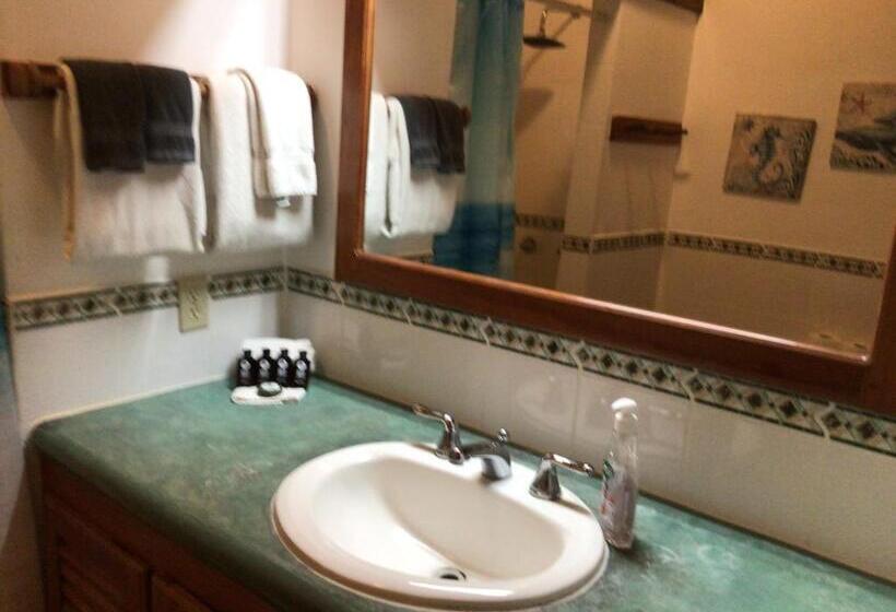 استودیوی استاندارد با چشمانداز دریا, Cocolobo Resort