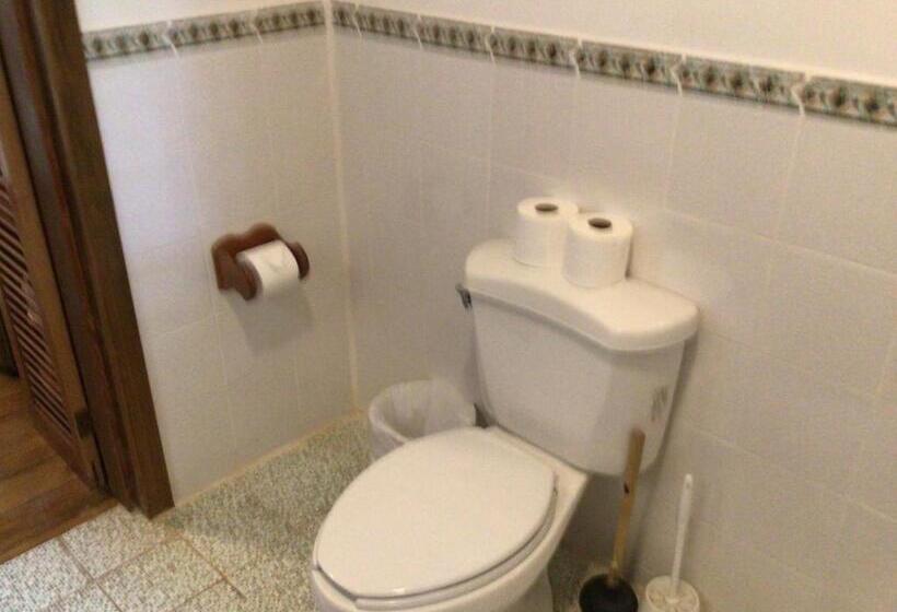 استودیوی استاندارد با چشمانداز دریا, Cocolobo Resort