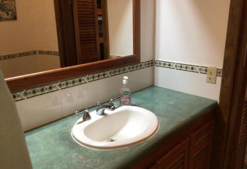 استودیوی استاندارد با چشمانداز دریا, Cocolobo Resort