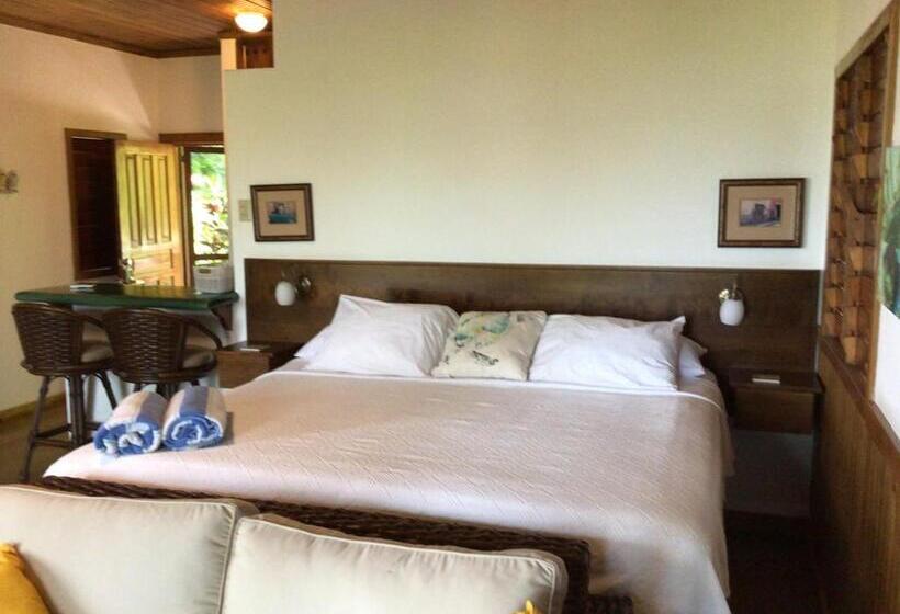 استودیوی استاندارد با چشمانداز دریا, Cocolobo Resort