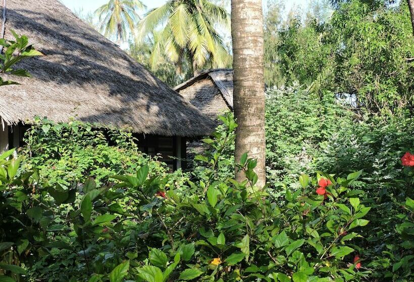 בקתה סטנדרטית, Paje By Night Bungalows