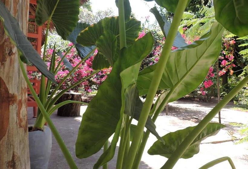 בקתה סטנדרטית, Paje By Night Bungalows