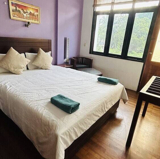 디럭스 룸, Subhas Tourist