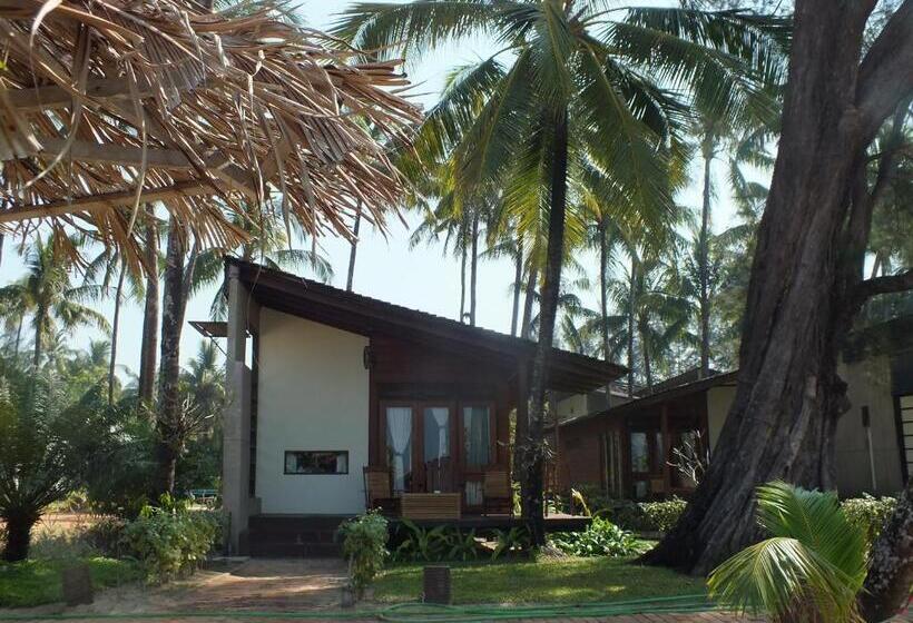 بانگلوی استاندارد, Pleasant View Resort