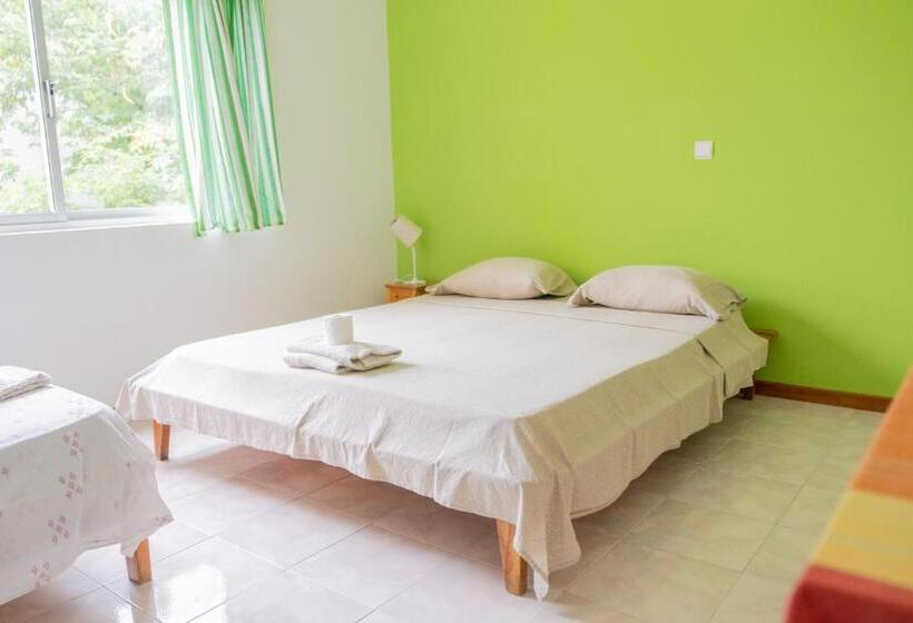 اتاق استاندارد سه تخته با سرویس بهداشتی مشترک, Simabo's Backpackers' Hostel