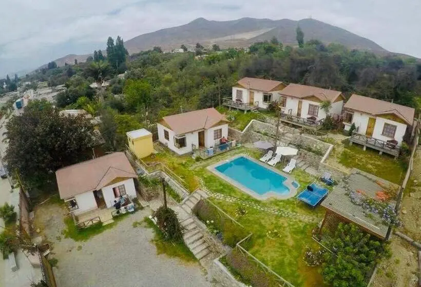 テラス付き１ベッドルームアパートメント, Cabañas Terrazas De Olivos