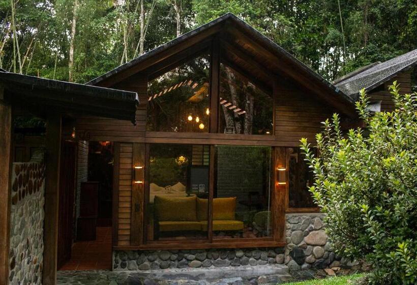 سوییت, Arrayan Y Piedra