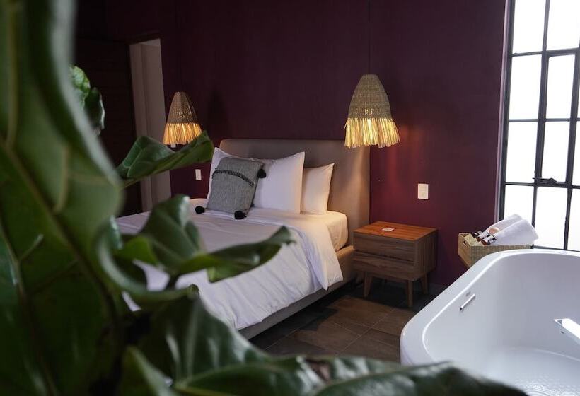 جناح, Casa Martina Guest House