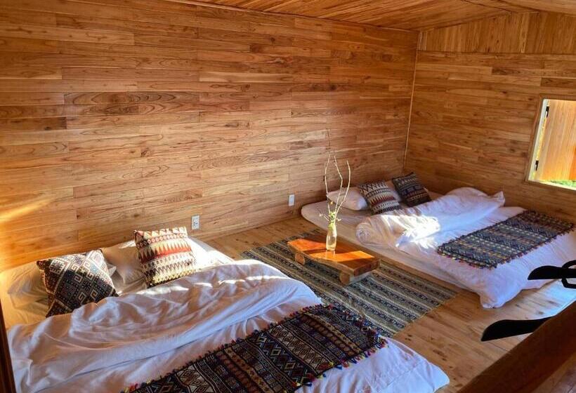 اتاق استاندارد چهار تخته, Ecolodge Kê Nênh điện Biên