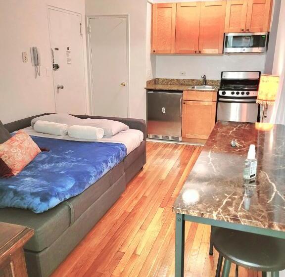 带1个卧室的公寓, Manhattan Stylish Studio In The Upper East Side