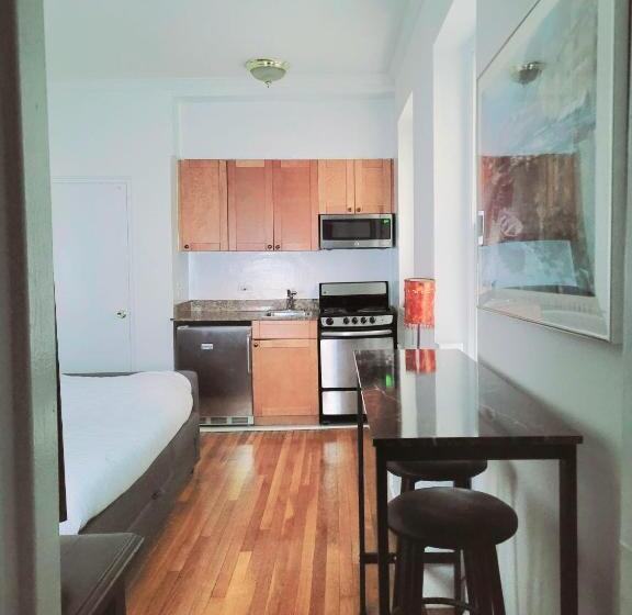 带1个卧室的公寓, Manhattan Stylish Studio In The Upper East Side