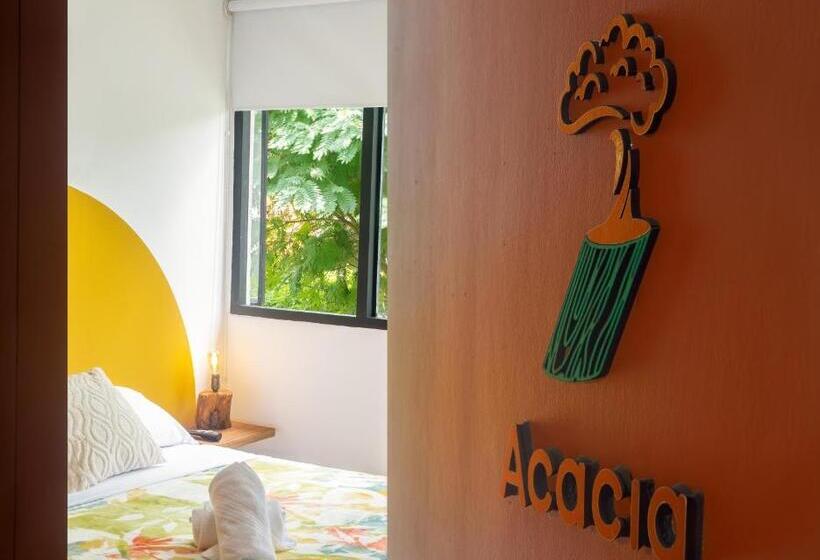 스탠다드 룸 공동 욕실, Nogal Spa & Hostel