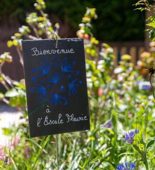 اتاق استاندارد با تراس, L Escale Fleurie à Saint Brieuc