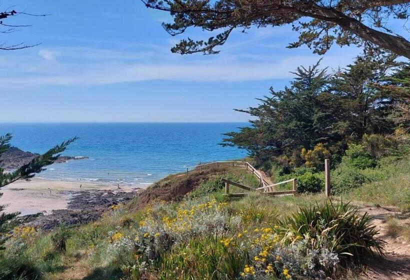 اتاق استاندارد با تراس, L Escale Fleurie à Saint Brieuc