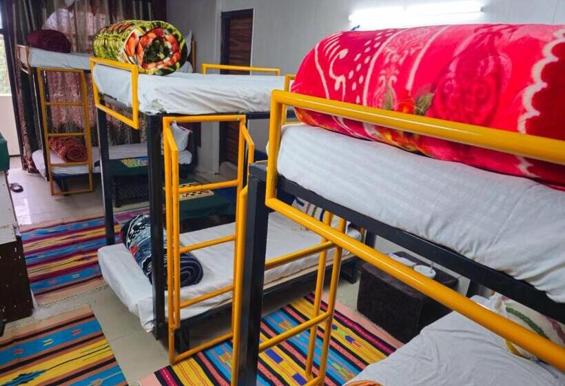 מיטה בחדר משותף, Work Party Go