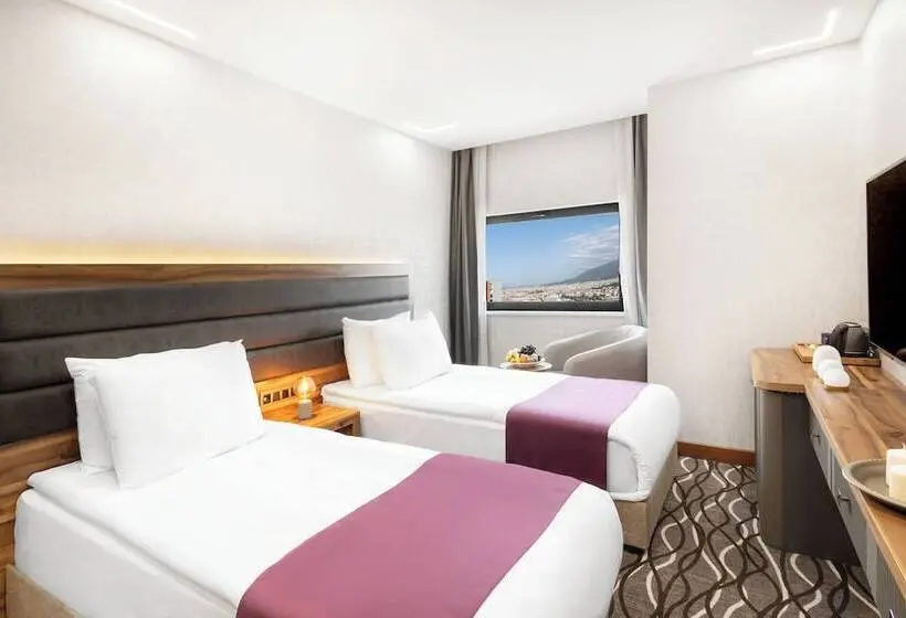 エコノミールーム, Lilium Hotel & Suites