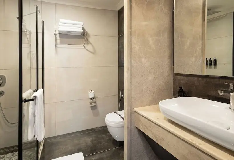 エコノミールーム, Lilium Hotel & Suites