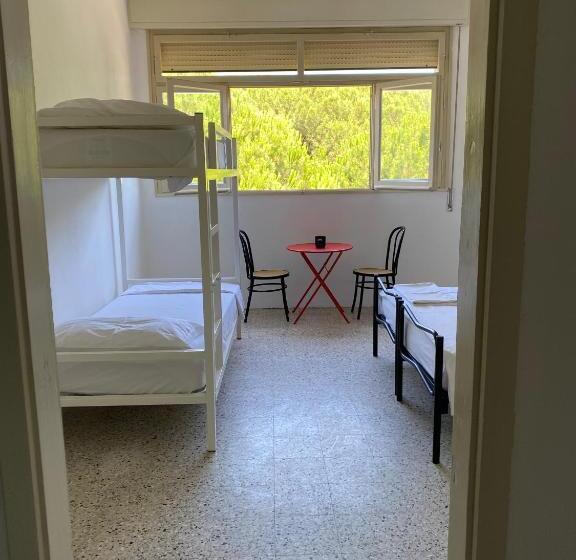 4인용 스탠다드 룸, Meet Hostel Cervia