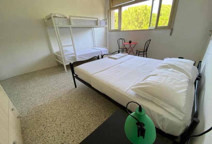 4인용 스탠다드 룸, Meet Hostel Cervia