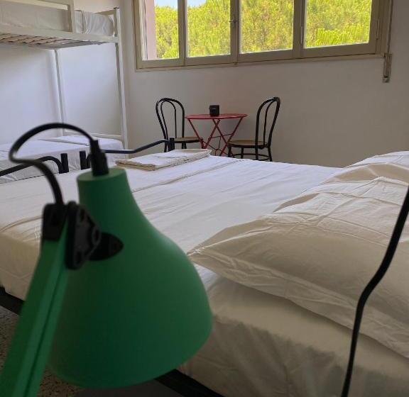 4인용 스탠다드 룸, Meet Hostel Cervia